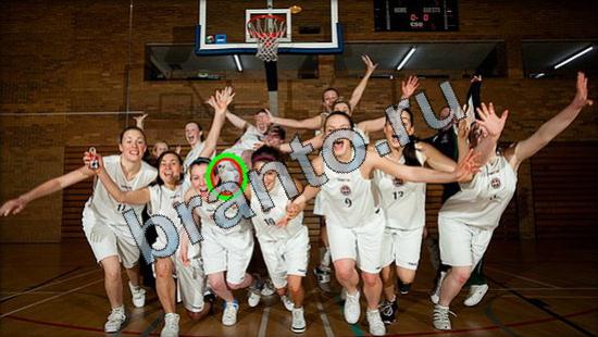 Игра Где же кот прохождение Уровень 3220