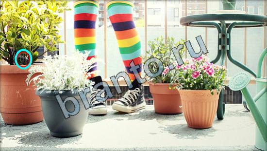 ответы Где же кот Уровень 3225