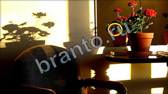 ответы для игры Где же кот Уровень 3227