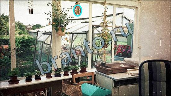 ответы на игру Где же кот Уровень 3234