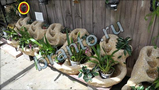 ответы на игру Где же кот Уровень 3236