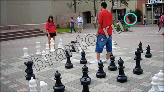 ответы на игру Где же кот Уровень 3321