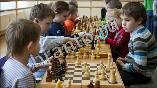 Подсказки на игру Где же кот Уровень 3322