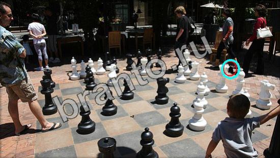 Решения на игру Где же кот Уровень 3323