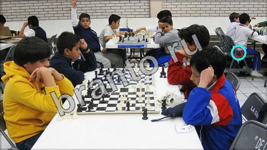 ответы к игре Где же кот Уровень 3325