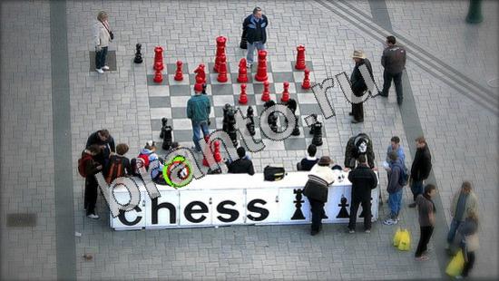 Где же кот? подсказки Уровень 3329