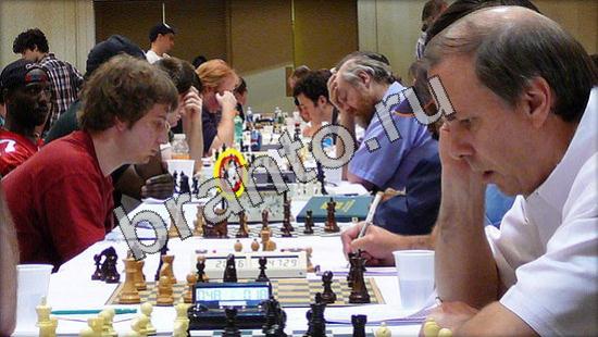 Где же кот? помощь Уровень 3330