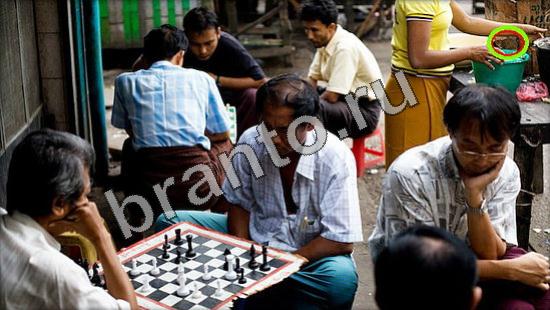 решебник на игру Где же кот Уровень 3331