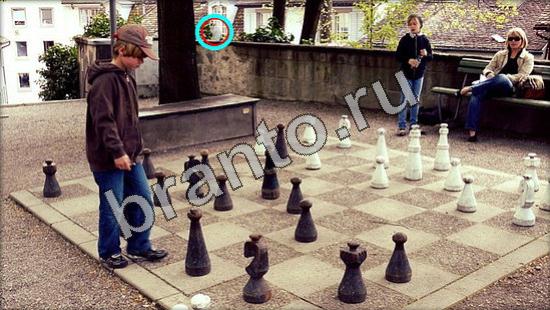 Где же кот? решения Уровень 3332