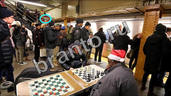 Где же кот игра ответы Уровень 3333