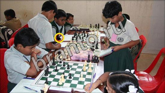 Где же кот игра помощь Уровень 3335