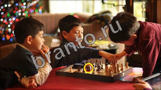 Где же кот ответы в картинках Уровень 3336