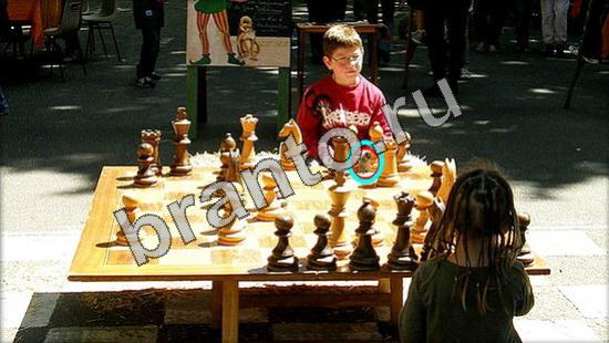 Игра Где же кот подсказки Уровень 3338