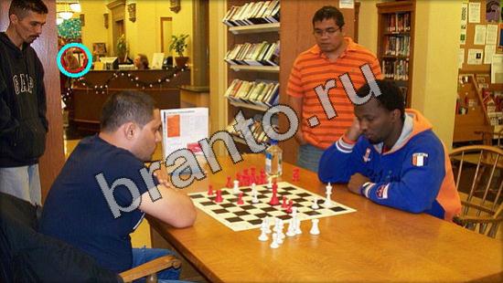 игра Где же кот помощь Уровень 3339