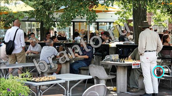 Игра Где же кот прохождение Уровень 3340