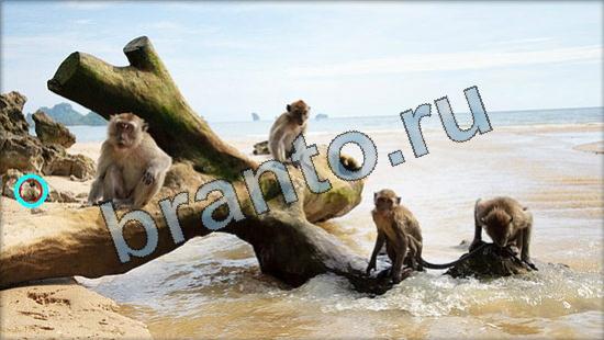 прохождение на игру Где же кот Уровень 3341