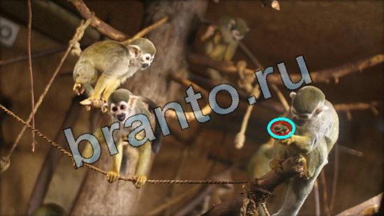 Прохождение игры Где же кот Уровень 3344