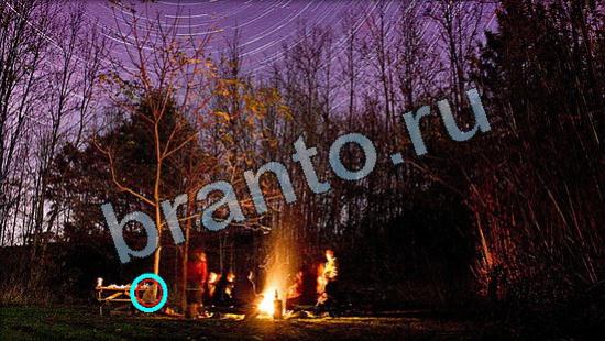 Подсказки на игру Где же кот Уровень 3362