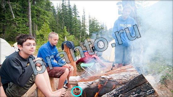 Решения на игру Где же кот Уровень 3363