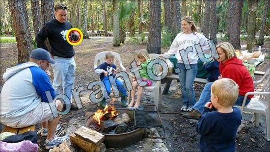 ответы к игре Где же кот Уровень 3365