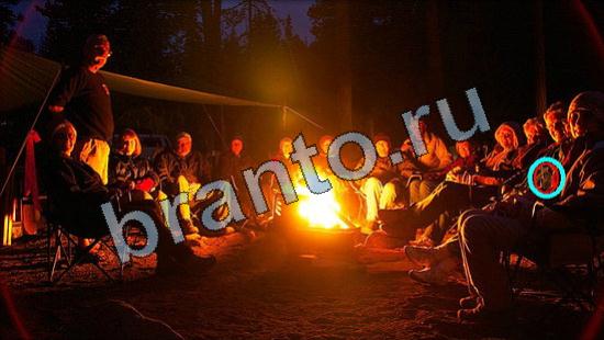 Где же кот игра ответы в одноклассниках Уровень 3367