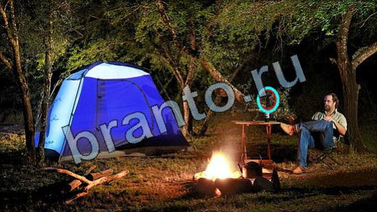 Где же кот? ответы Уровень 3368