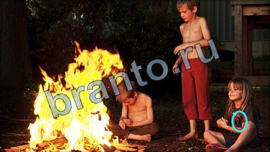 Где же кот? подсказки Уровень 3369