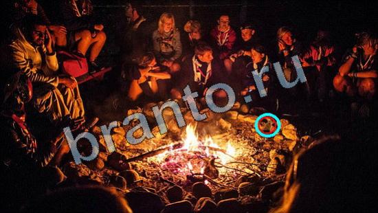 Где же кот? помощь Уровень 3370