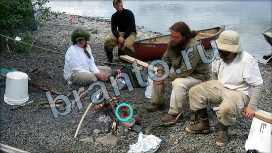 решебник на игру Где же кот Уровень 3371