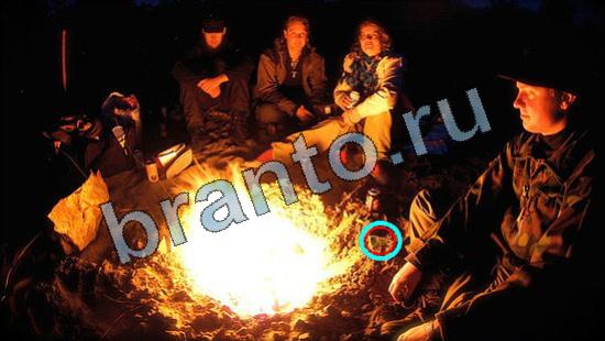 Где же кот игра ответы Уровень 3373