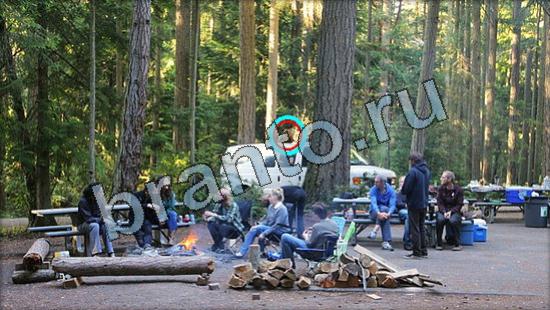 Где же кот игра помощь Уровень 3375