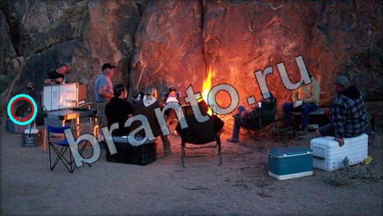 Где же кот ответы в картинках Уровень 3376