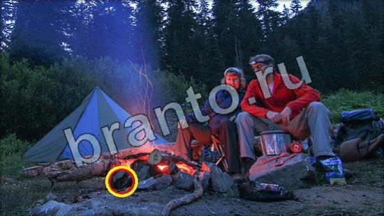 Игра Где же кот ответы Уровень 3377