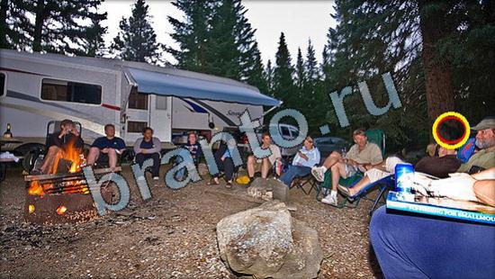 Игра Где же кот подсказки Уровень 3378