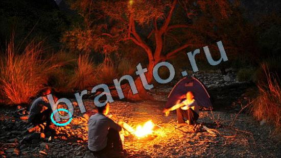 игра Где же кот помощь Уровень 3379