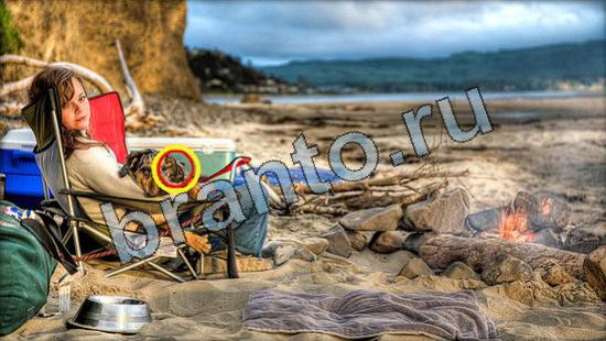 Игра Где же кот прохождение Уровень 3380