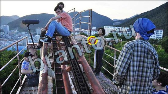 Прохождение игры Где же кот Уровень 3384