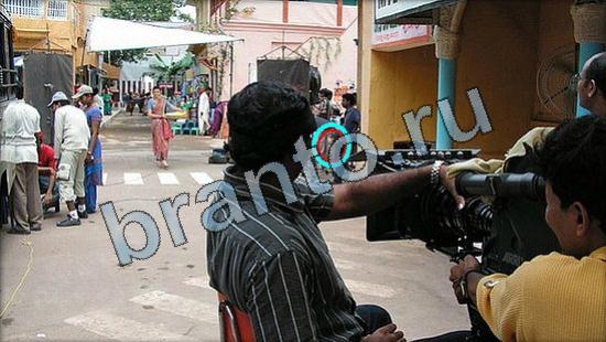 ответы на игру Где же кот Уровень 3396