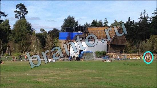 помощь на игру Где же кот Уровень 3398