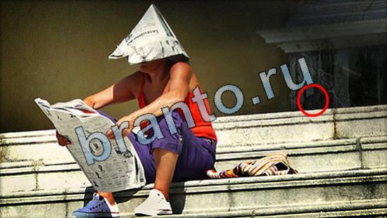 ответы на игру Где же кот Уровень 3441