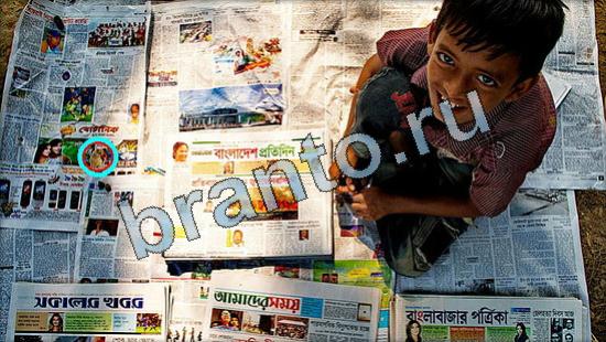 Где же кот? ответы Уровень 3448