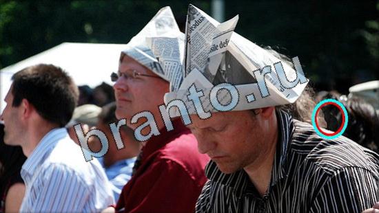 Где же кот игра помощь Уровень 3455