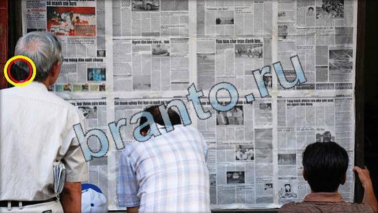 Игра Где же кот прохождение Уровень 3460