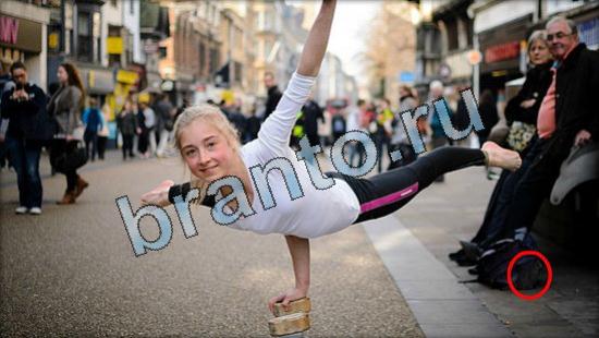 прохождение на игру Где же кот Уровень 3461