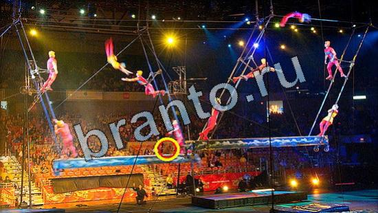 Где же кот прохождение игры Уровень 3462