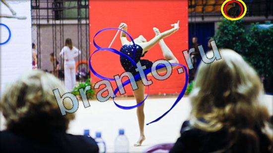 ответы Где же кот Уровень 3465