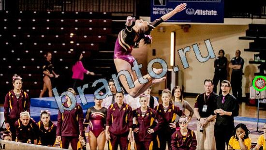 решения для игры Где же кот Уровень 3468