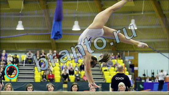 Где же кот игра ответы Уровень 3469