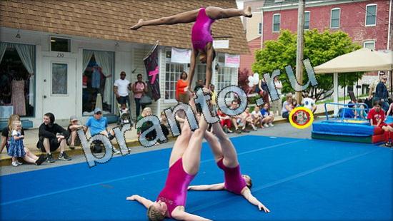 игра в одноклассниках Где же кот ответы Уровень 3470