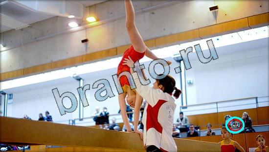 ответы на игру Где же кот в скриншотах Уровень 3472